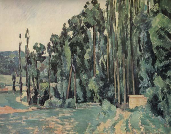 Paul Cezanne The Poplars oil painting picture